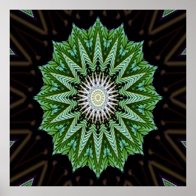Affiche Foliage Mandala....... (Devant)