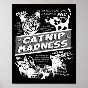 Affiche Folie de l'herbe à chat Chaton mignon Chat drôle H