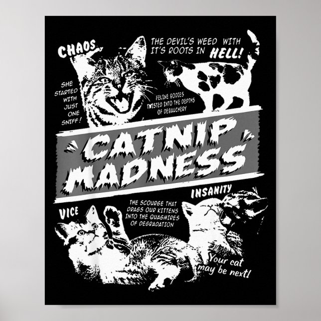 Affiche Folie de l'herbe à chat Chaton mignon Chat drôle H (Devant)