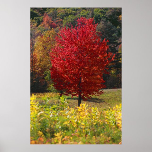Affiche Folithe d'automne (Devant)