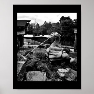 Affiche Fontaine Dragon