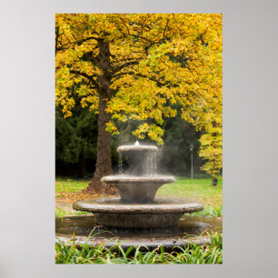 Affiche Fontaine par un arbre à l'automne, Allemagne
