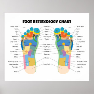 Affiche Foot Reflexology Chart 20" x 16", (Matte)