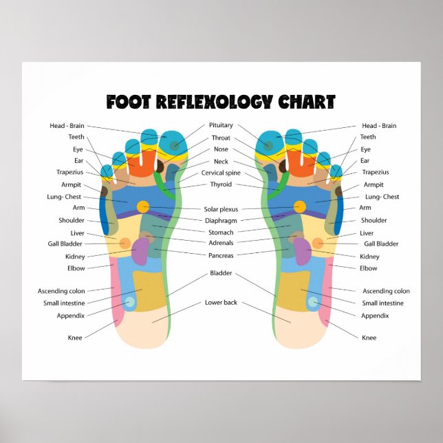 Affiche Foot Reflexology Chart 20" x 16", (Matte) (Devant)