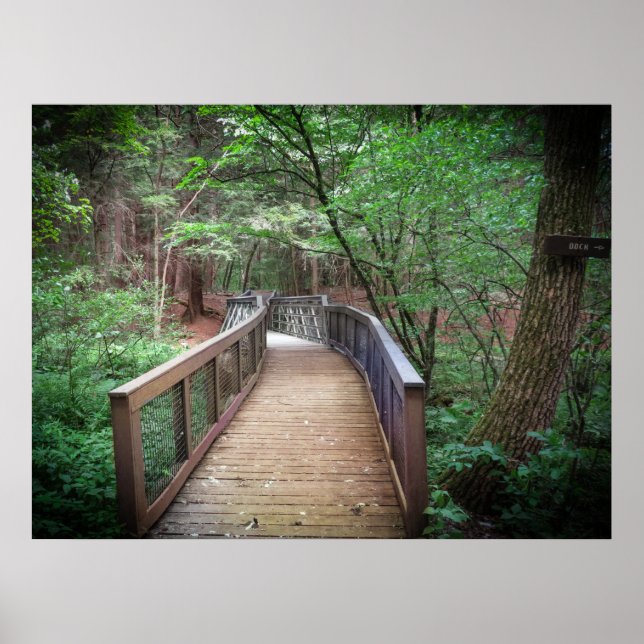 Affiche Footbridge (Devant)