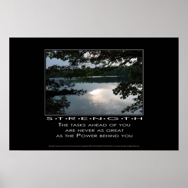 Affiche Force (Devant)