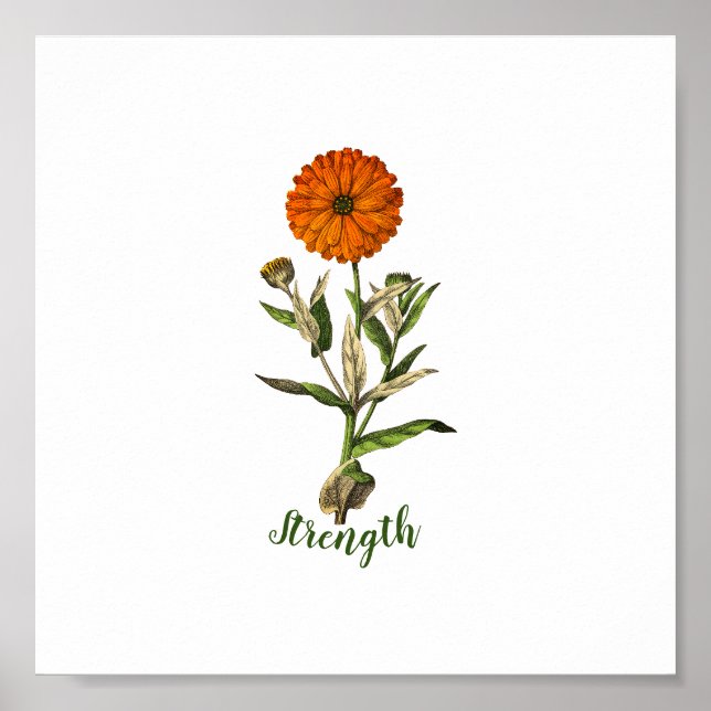 Affiche Force Marigold Inspirational (Devant)