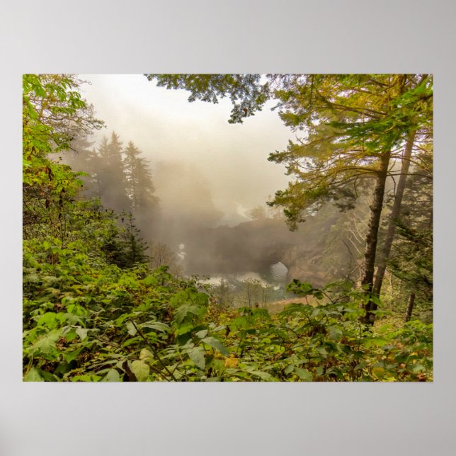 Affiche Forest and Ocean Landscape (Devant)
