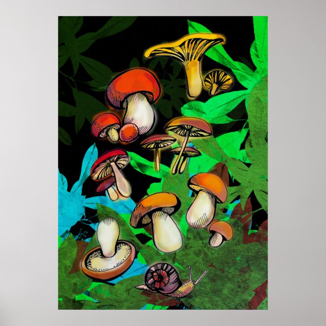 Affiche Forest mushrooms and a snail (Devant)