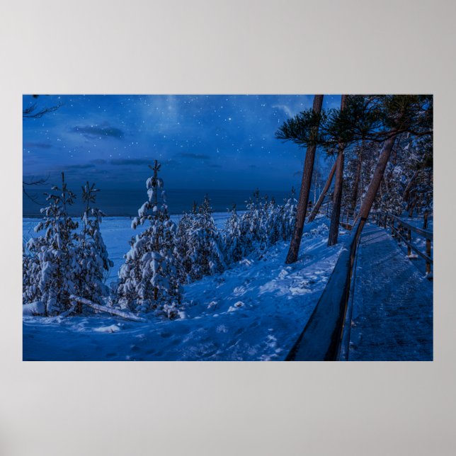 Affiche Forest path at winter night (Devant)
