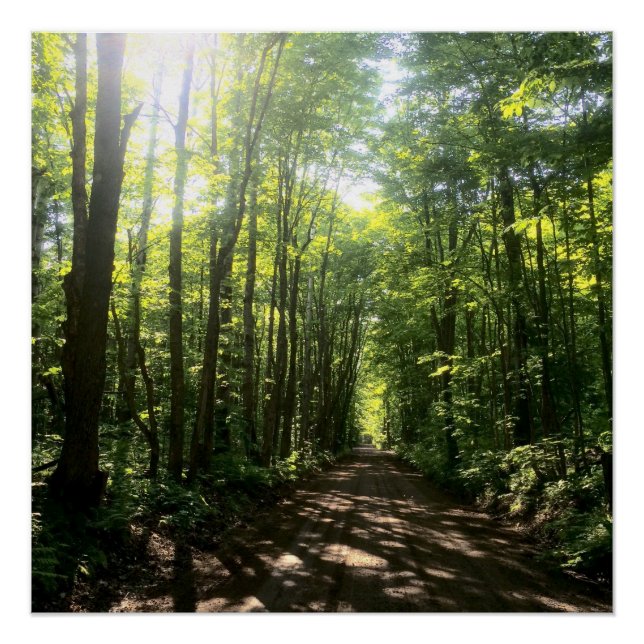 affiche forestière (Devant)