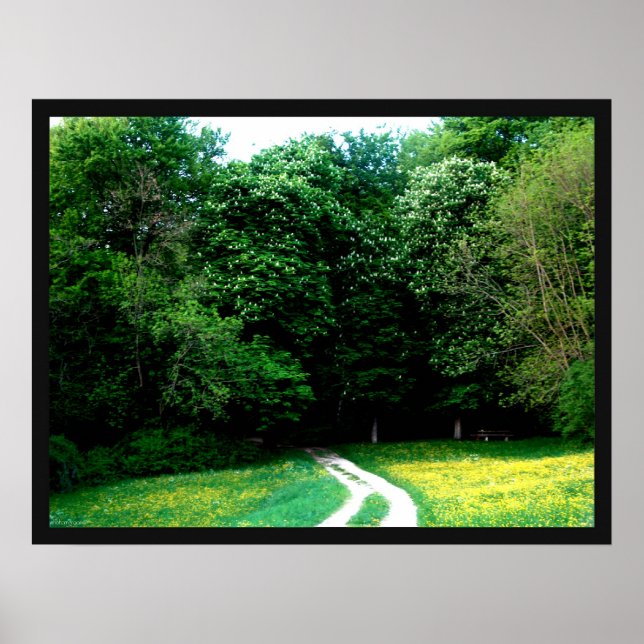 Affiche Forêt (Devant)