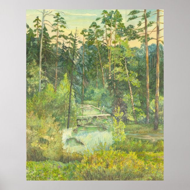 Affiche forêt (Devant)