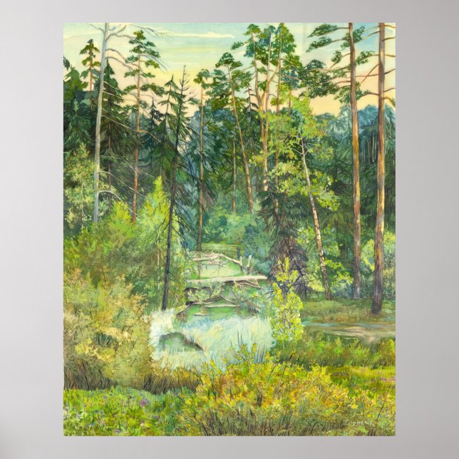 Affiche Forêt (Devant)