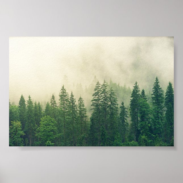 Affiche forêt à poster, grande forêt (Devant)
