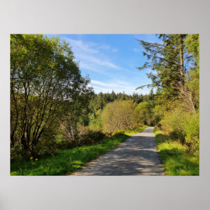 Affiche Forêt arbres le long chemin de marche Magnifique j