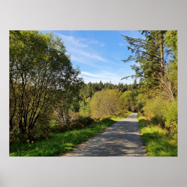 Affiche Forêt arbres le long chemin de marche Magnifique j (Devant)