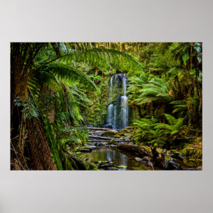 Affiche Forêt Beauchamp Falls Australie