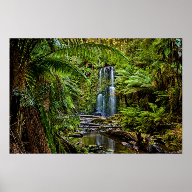 Affiche Forêt | Beauchamp Falls Australie (Devant)