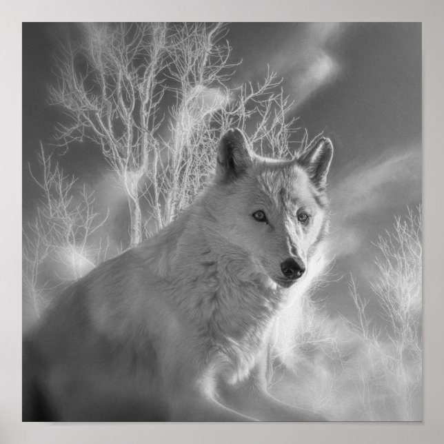 AFFICHE FORÊT BLANCHE EN BOIS BLANC (Devant)