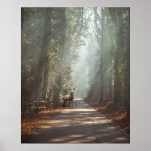 Affiche Forêt   Bois