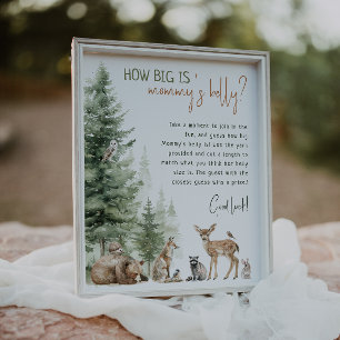 Affiche Forêt Bois Animaux Quelle est la taille du ventre 