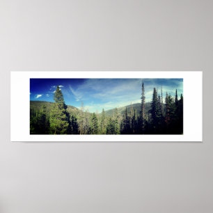 Affiche Forêt Bois Couleur Photographie Vert Panoramique