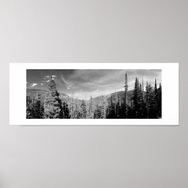 Affiche Forêt Bois noir et blanc Photo Panoramique (Devant)