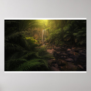 Affiche Forêt Cascade Sunlight Highlights