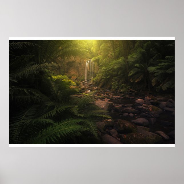 Affiche Forêt | Cascade Sunlight Highlights (Devant)