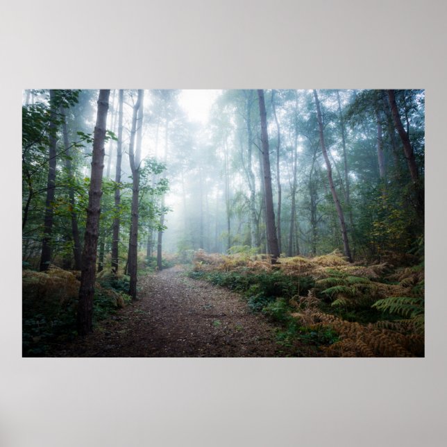 Affiche Forêt | Dark Foggy Woods Norfolk UK (Devant)