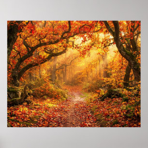Affiche Forêt d'automne