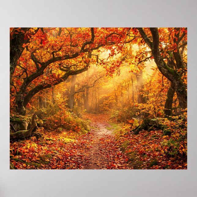 Affiche Forêt d'automne (Devant)