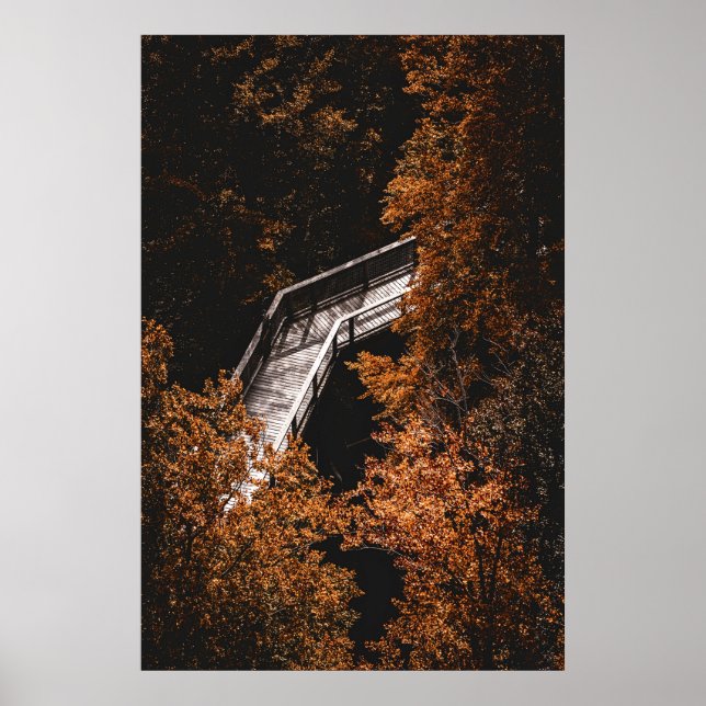 Affiche Forêt d'automne avec chemin en bois (Devant)