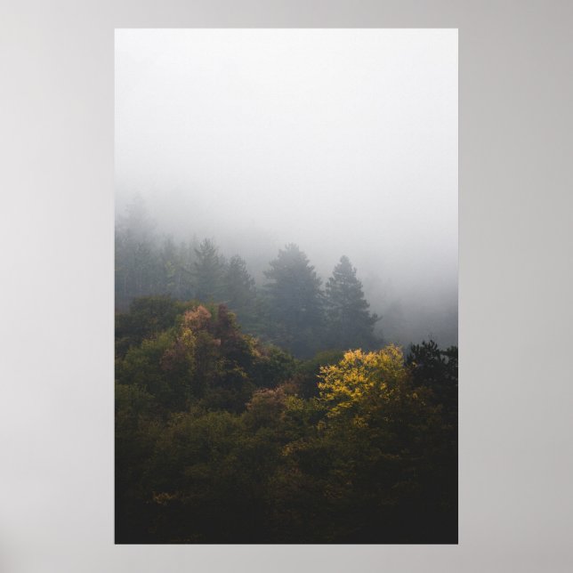 Affiche Forêt d'automne enveloppée de brouillard (Devant)