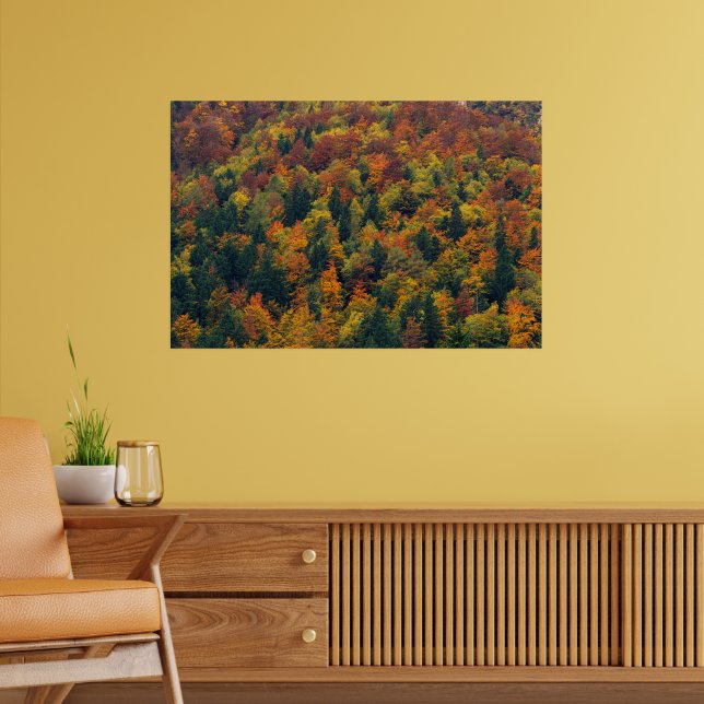Affiche Forêt d'automne époustouflante (Salon 2)