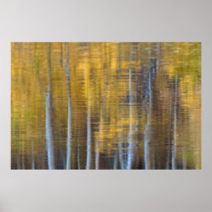 Affiche Forêt d'automne, réflexion abstraite