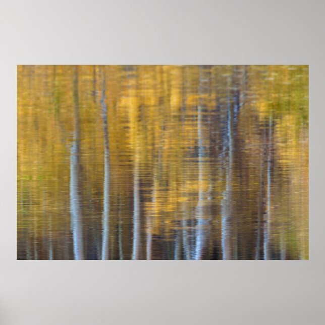 Affiche Forêt d'automne, réflexion abstraite (Devant)