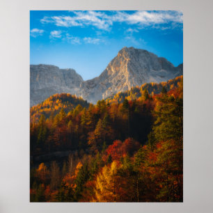 Affiche Forêt d'automne sous les montagnes