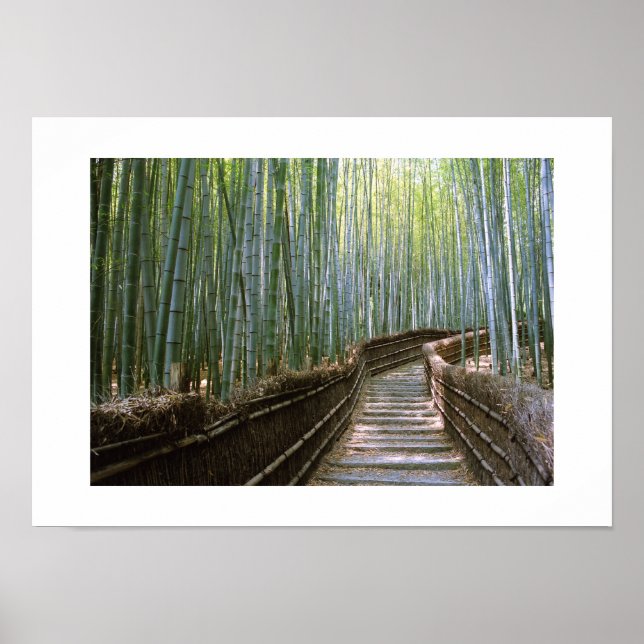 Affiche Forêt de bambou : Kyoto, Japon (Devant)