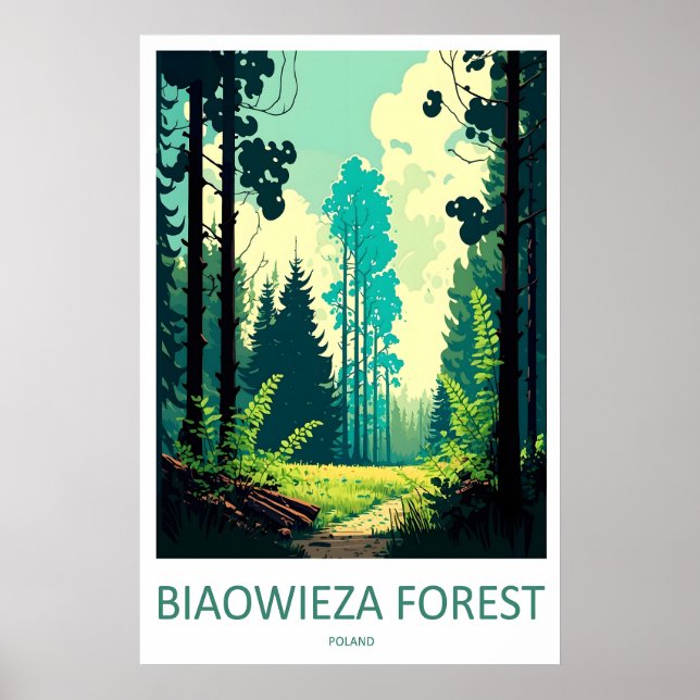 Affiche Forêt de Białowieża 1 (Devant)