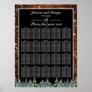 Affiche Forêt de bois neigeux Noir Graphique 20 Tableaux