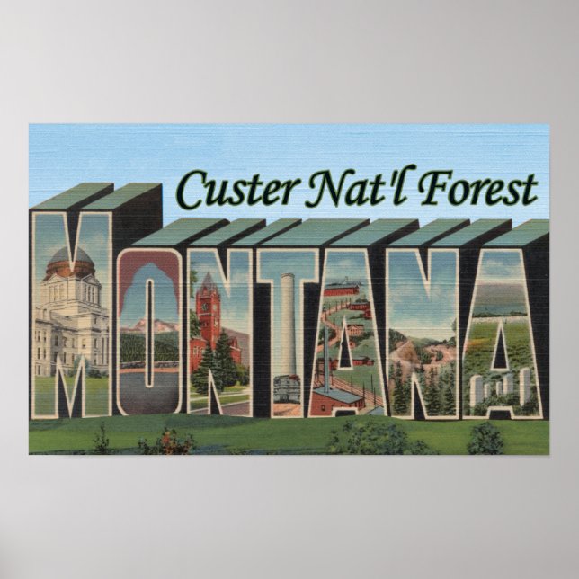 Affiche Forêt de Custer Nat'l, Montana (Devant)