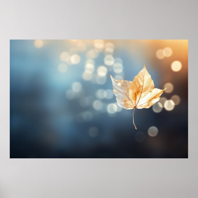Affiche Forêt de feuilles d'arbre Nature serene Tranquille (Devant)