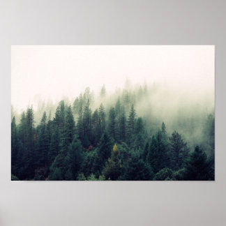 Affiche Forêt de Foggy