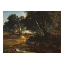 Forêt de Fontainebleau