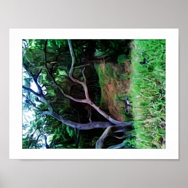 Affiche Forêt de la rivière Sacramento (Devant)