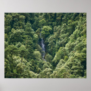Affiche Forêt de l'Himalaya dans la vallée de Mangdue, Bho