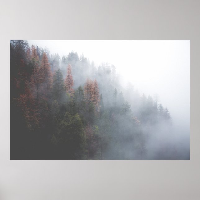 Affiche Forêt de Misty (Devant)