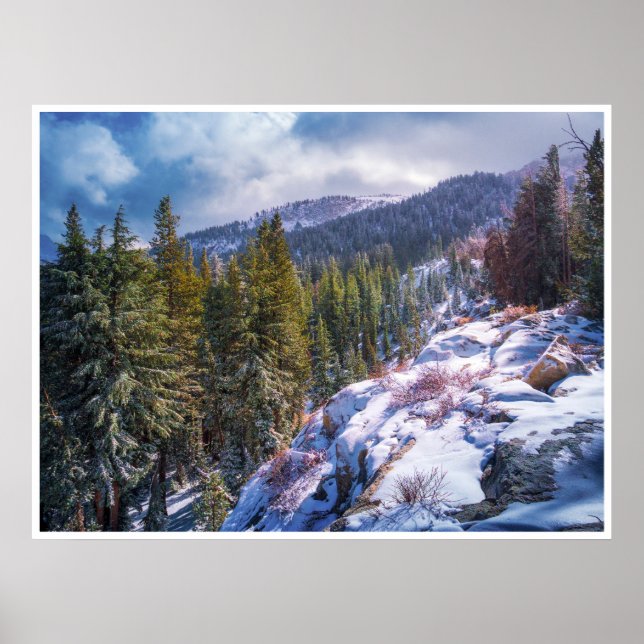 Affiche Forêt de montagne enneigée | Hiver Sierra (Devant)